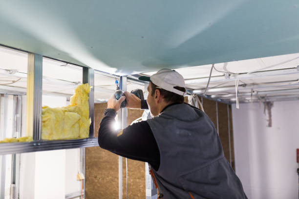 Best Insulation Maintenance and Repair in Jemez Pueblo, NM
